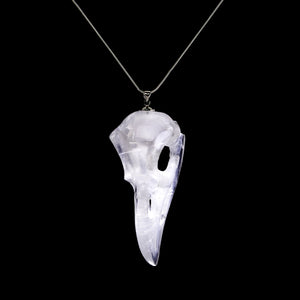 Clear Quartz Crystal Raven